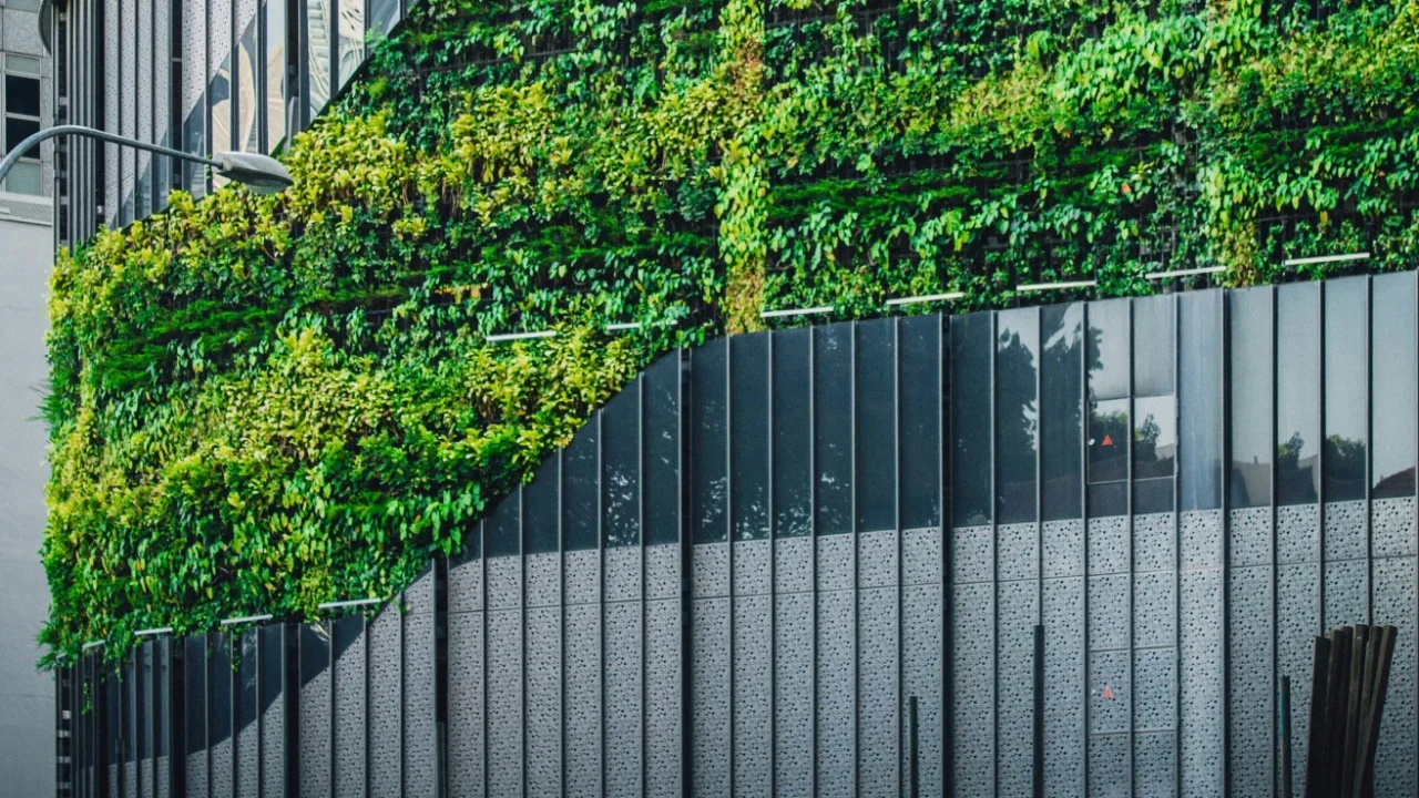 a photo of a glass building covered with plants