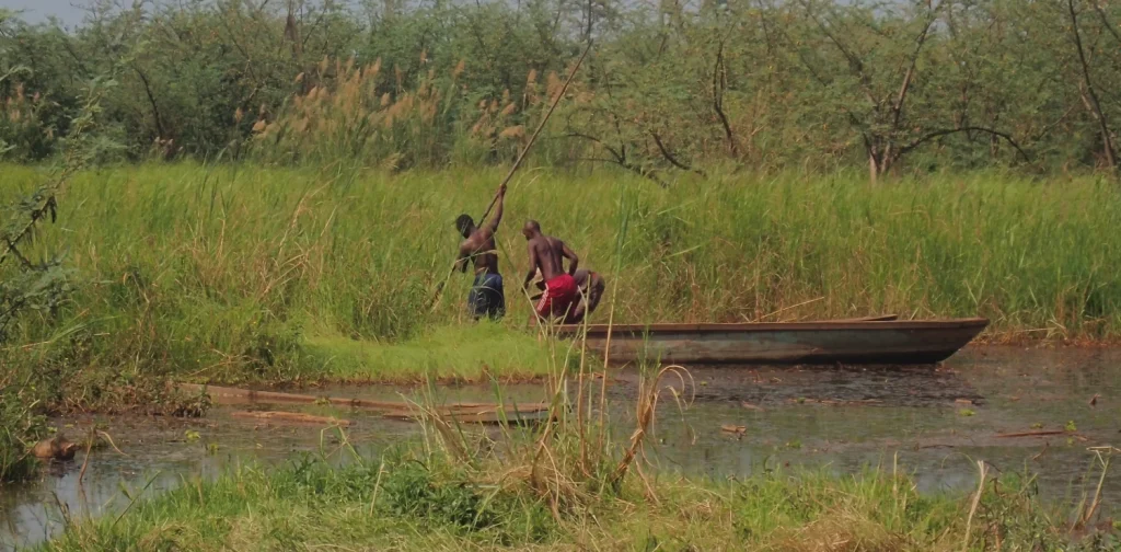 Two men in a narrow wooden canoe use long poles to push through a shallow, grassy river in the Congo Basin, surrounded by dense green reeds and shrubs.