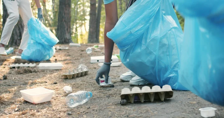 People wearing gloves collect litter into large blue trash bags in a wooded area, picking up plastic bottles, food containers, and cardboard from the forest floor.