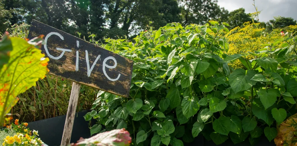 Vegetables and plants with a "Give" sign in the middle