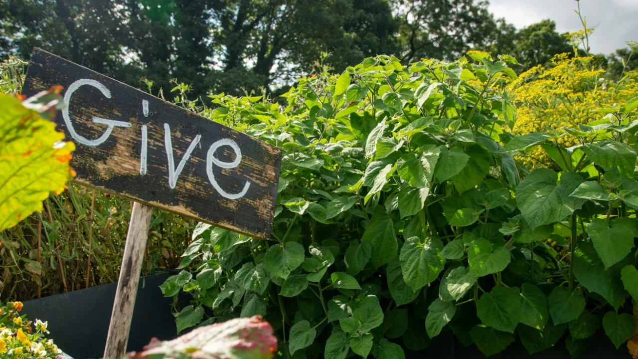 Vegetables and plants with a "Give" sign in the middle