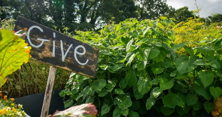 Vegetables and plants with a "Give" sign in the middle