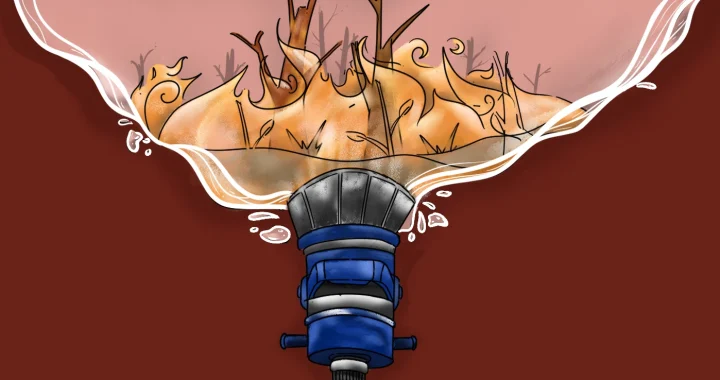 A fire hose nozzle spraying upward, revealing a peat forest fire within the water arc.