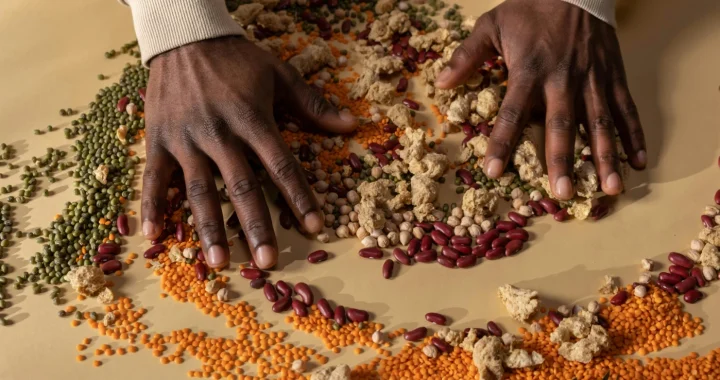 two hands mixing various beans and grains on a table