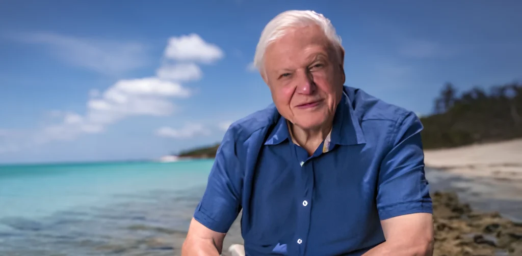 Portrait of Sir David Attenborough wearing a blue shirt, seated by a shoreline with turquoise water, white sand beach, and a bright blue sky in the background.