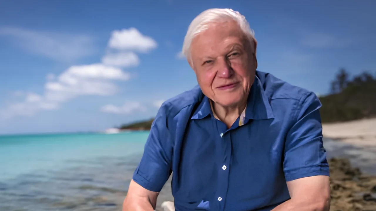 Portrait of Sir David Attenborough wearing a blue shirt, seated by a shoreline with turquoise water, white sand beach, and a bright blue sky in the background.