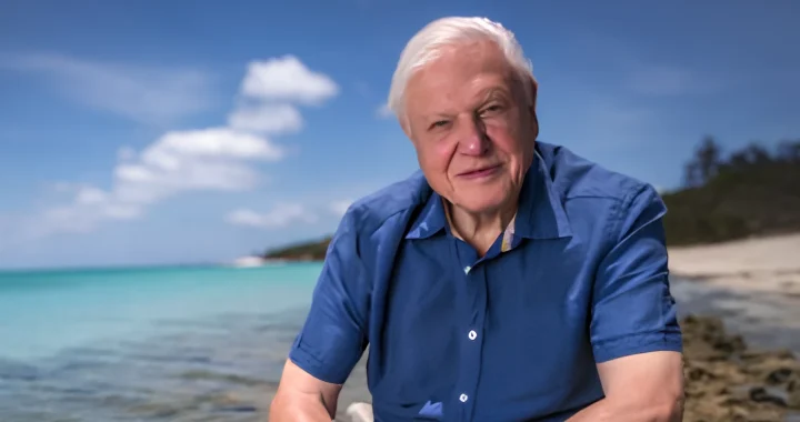 Portrait of Sir David Attenborough wearing a blue shirt, seated by a shoreline with turquoise water, white sand beach, and a bright blue sky in the background.