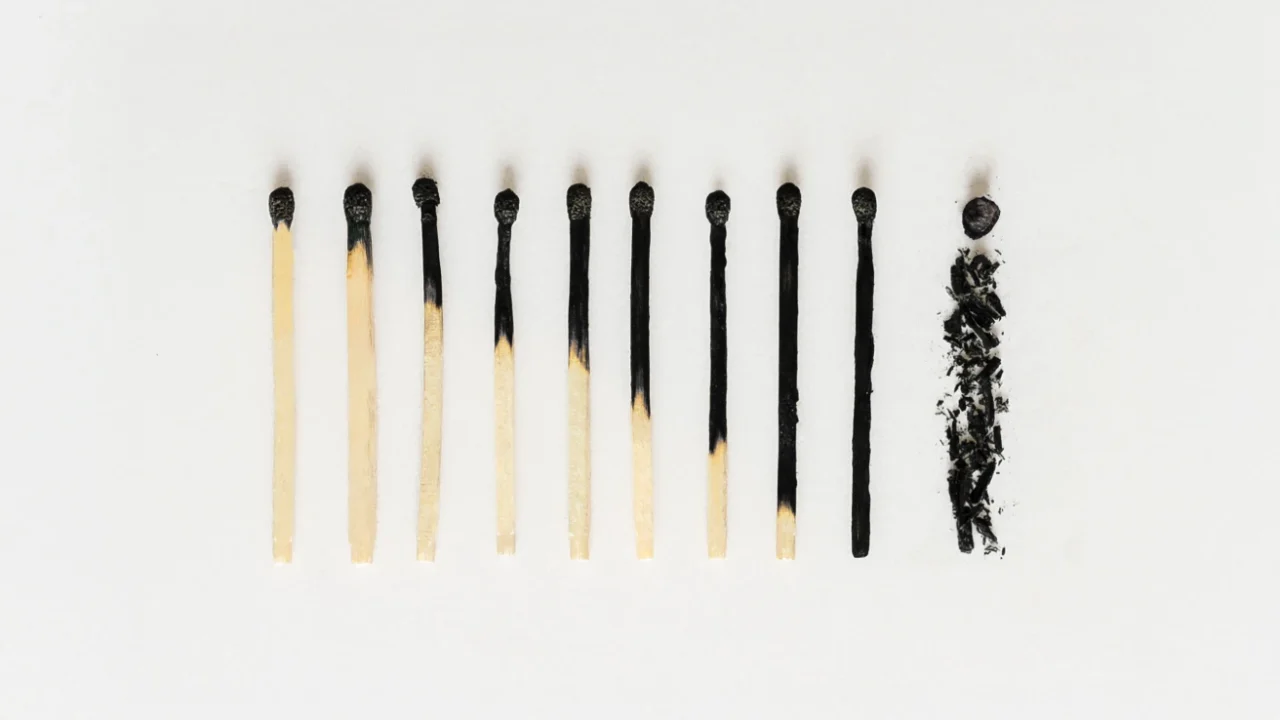 a row of burnt matches that gets more burnt and destroyed from left to right