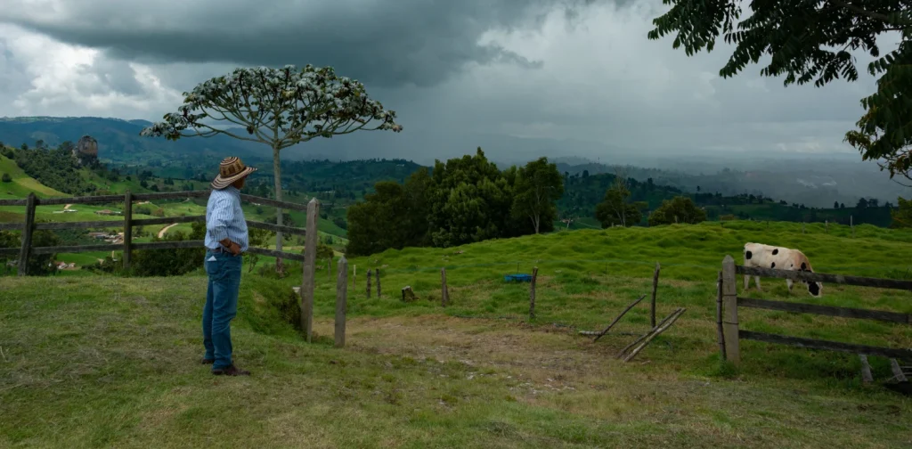 A farmer stands in a grassy pasture, looking toward dark storm clouds gathering over rolling farmland and distant hills. A cow grazes nearby behind a wooden fence.