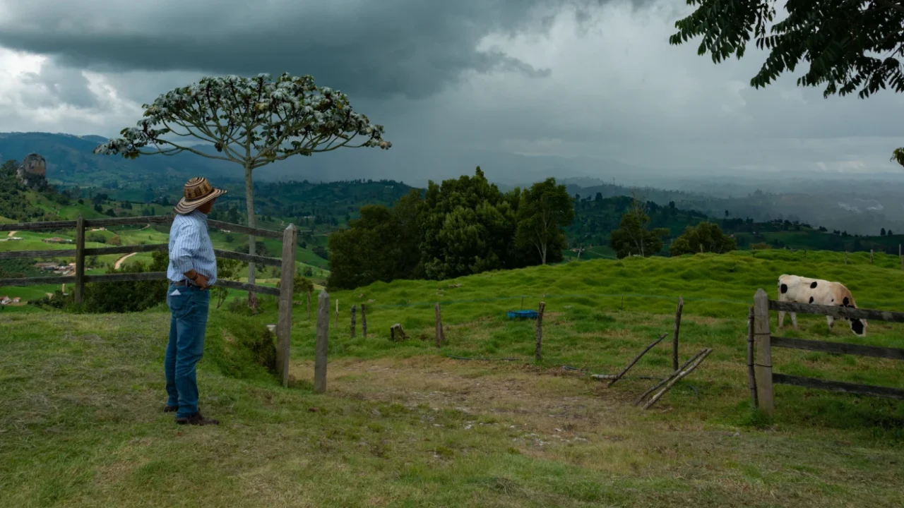 A farmer stands in a grassy pasture, looking toward dark storm clouds gathering over rolling farmland and distant hills. A cow grazes nearby behind a wooden fence.