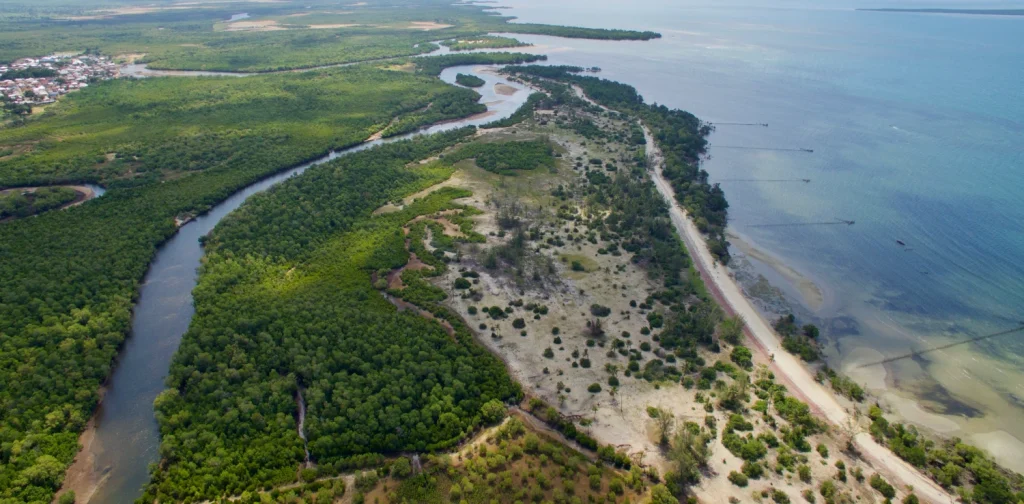 Aerial view of Gazi Bay, Kenya, showing mangrove forest lining the coastline where it meets the Indian Ocean.