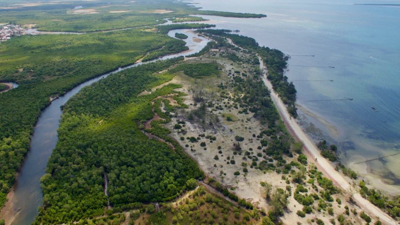 Aerial view of Gazi Bay, Kenya, showing mangrove forest lining the coastline where it meets the Indian Ocean.