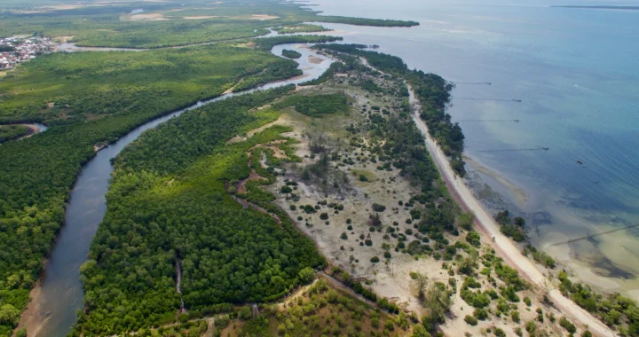 Aerial view of Gazi Bay, Kenya, showing mangrove forest lining the coastline where it meets the Indian Ocean.