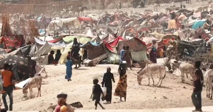 A Sudanese refugee camp in eastern Chad, showing rows of shelters where families fled after crossing the border from Darfur.