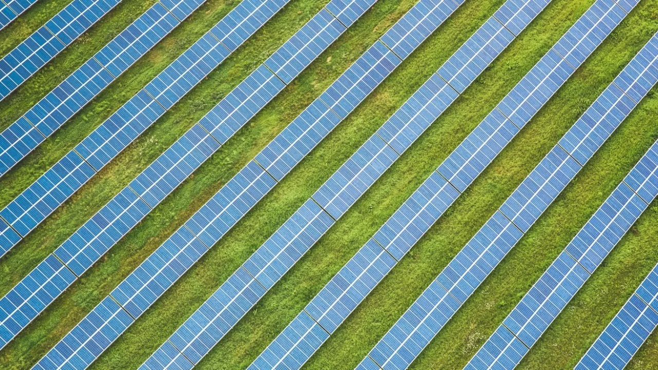 aerial view of rows of solar panels stretch across a grassy field