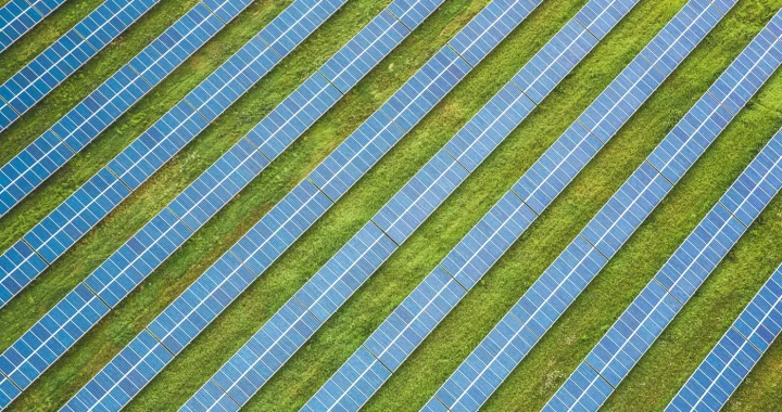 aerial view of rows of solar panels stretch across a grassy field