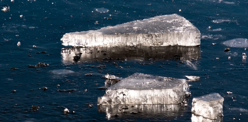 Close-up image of ice chunks floating over a dark, icy sea water surface.