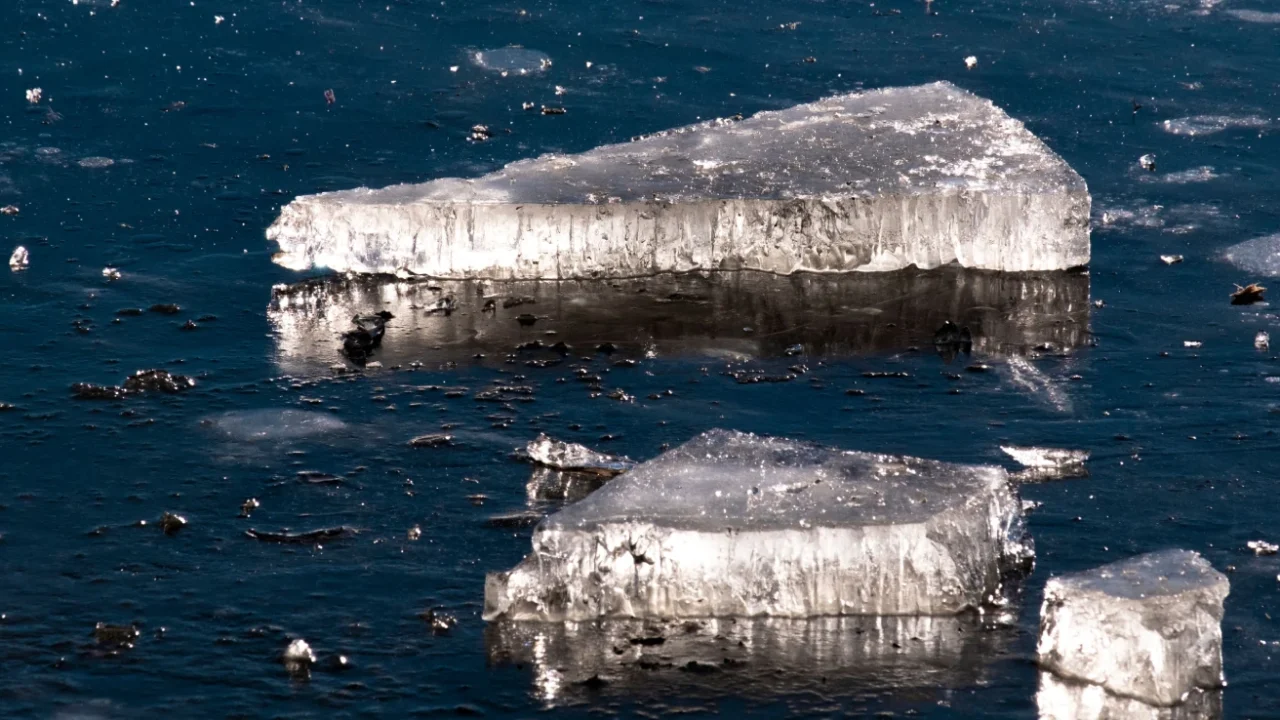 Close-up image of ice chunks floating over a dark, icy sea water surface.