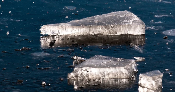 Close-up image of ice chunks floating over a dark, icy sea water surface.