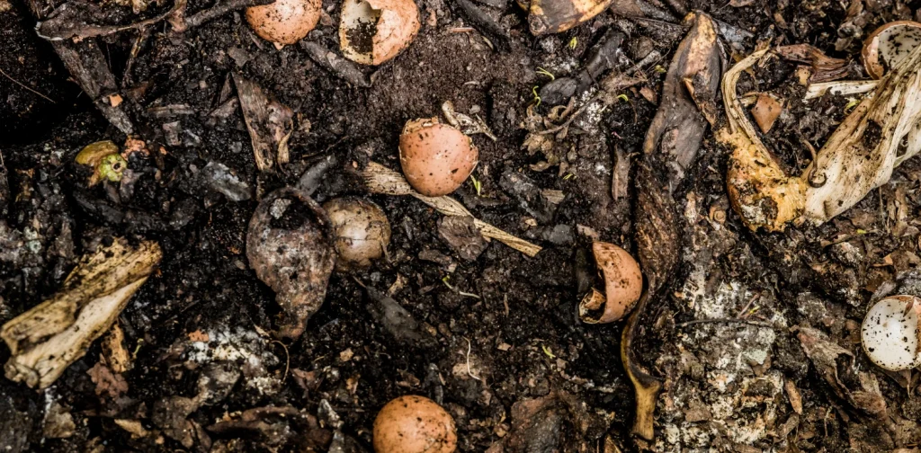 Food scraps in a compost heap